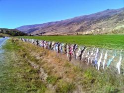 Dünyanın ən qəribə hasarı - FOTO