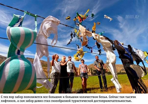 Dünyanın ən qəribə hasarı - FOTO