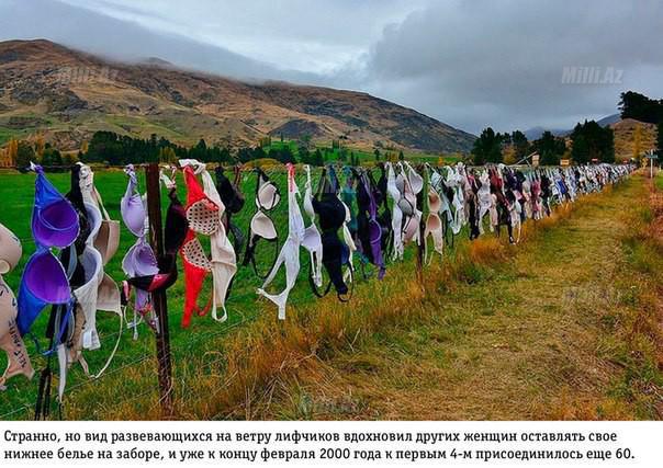 Dünyanın ən qəribə hasarı - FOTO