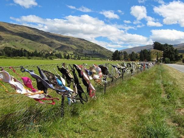 Dünyanın ən qəribə hasarı - FOTO