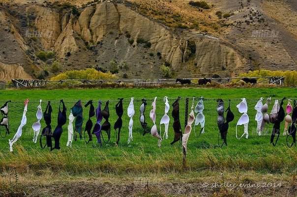 Dünyanın ən qəribə hasarı - FOTO