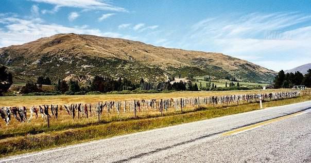 Dünyanın ən qəribə hasarı - FOTO