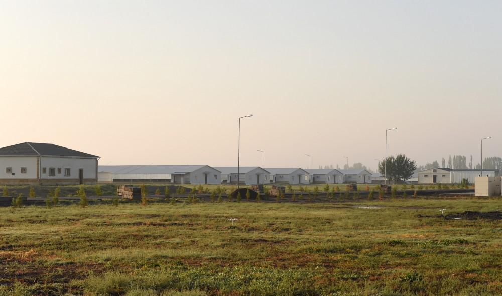 Prezident İlham Əliyev: "Gələn il də ölkəmizin uğurlu inkişafı üçün heç bir problem görmürəm" - FOTO