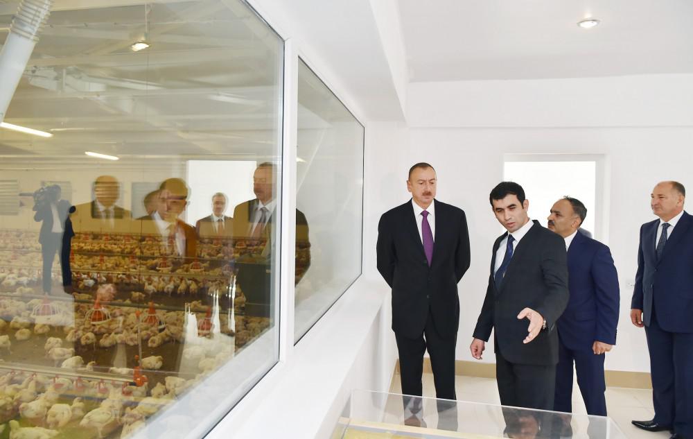 Prezident İlham Əliyev: "Gələn il də ölkəmizin uğurlu inkişafı üçün heç bir problem görmürəm" - FOTO