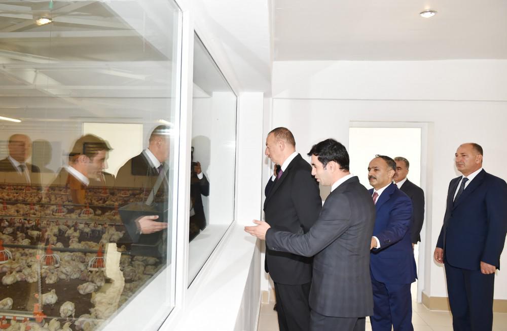 Prezident İlham Əliyev: "Gələn il də ölkəmizin uğurlu inkişafı üçün heç bir problem görmürəm" - FOTO