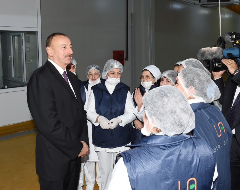 Prezident İlham Əliyev: "Gələn il də ölkəmizin uğurlu inkişafı üçün heç bir problem görmürəm" - FOTO