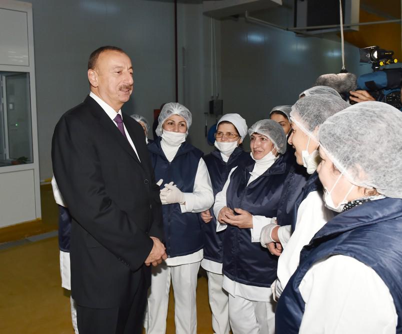 Prezident İlham Əliyev: "Gələn il də ölkəmizin uğurlu inkişafı üçün heç bir problem görmürəm" - FOTO