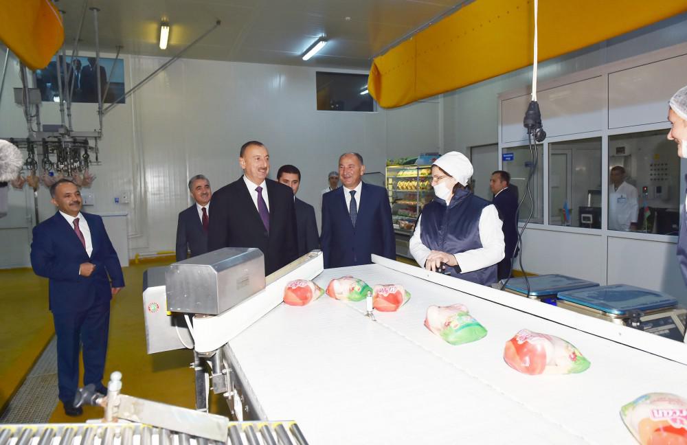 Prezident İlham Əliyev: "Gələn il də ölkəmizin uğurlu inkişafı üçün heç bir problem görmürəm" - FOTO