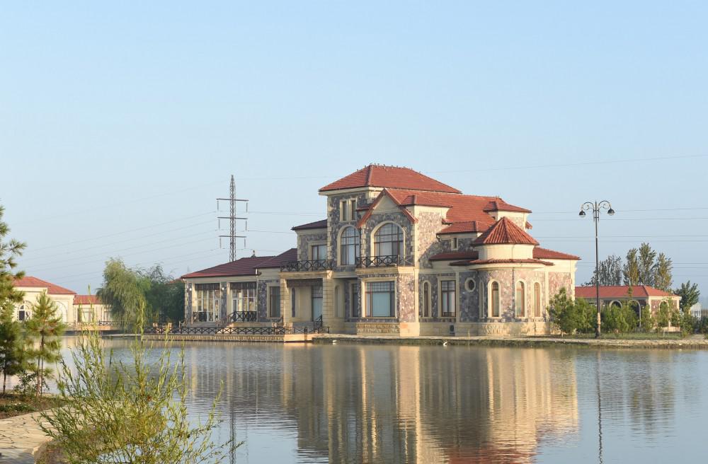 Prezident İlham Əliyev: "Gələn il də ölkəmizin uğurlu inkişafı üçün heç bir problem görmürəm" - FOTO