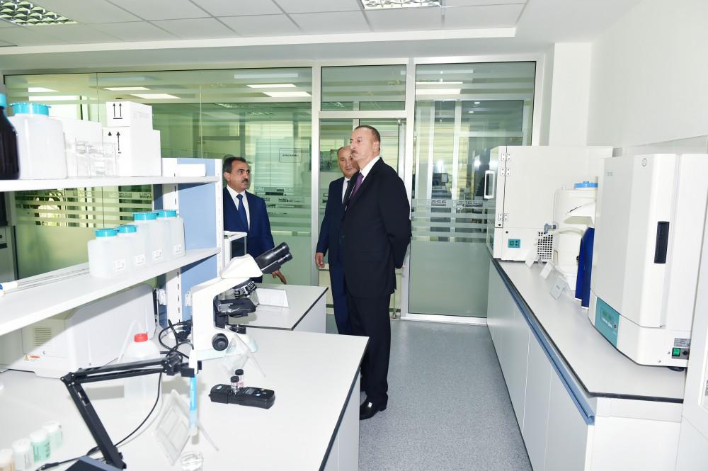 Prezident İlham Əliyev: "Gələn il də ölkəmizin uğurlu inkişafı üçün heç bir problem görmürəm" - FOTO