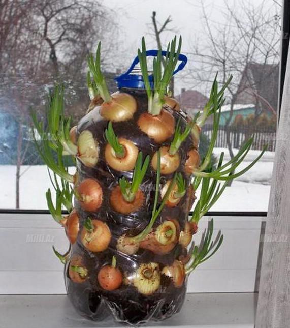 Rus tələbə yataqxanaları: olduğu kimi - FOTO