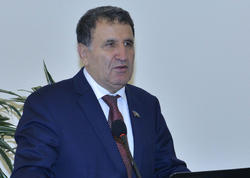 Ramiz Mehdiyevdən sonra İsa Həbibəylinin də fəaliyyət dövrü araşdırılmağa başlanıldı