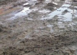 Gənclər bərbad yollar səbəbindən bu kəndi tərk edir