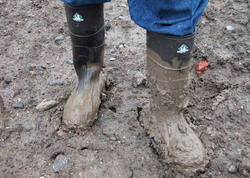 "Kəndimizin yoluna görə bizə qız verən yoxdur"