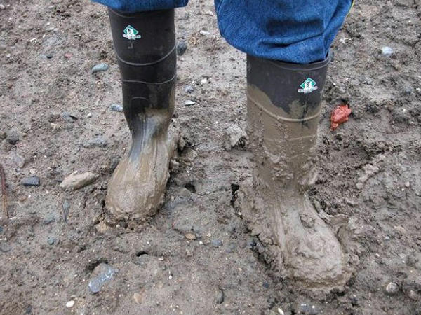 "Kəndimizin yoluna görə bizə qız verən yoxdur"