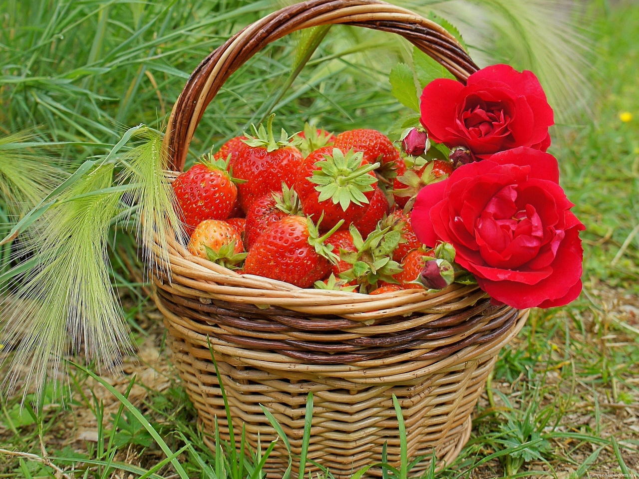 Kompüteriniz üçün maraqlı şəkillər - FOTOSESSİYA