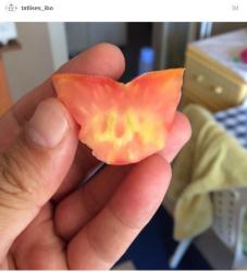 İbrahim Tatlısəs: "Pomidordan "Allah" yazısı çıxdı" - FOTO