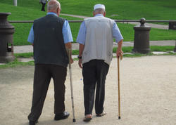 100 yaşına kimlər daha tez çatır: ət yeyənlər, yoxsa vegeterianlar?