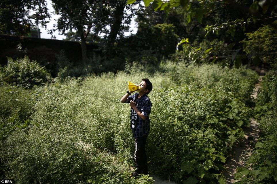 Yapışqan iyləyib şikəst qalan gənclər - FOTO