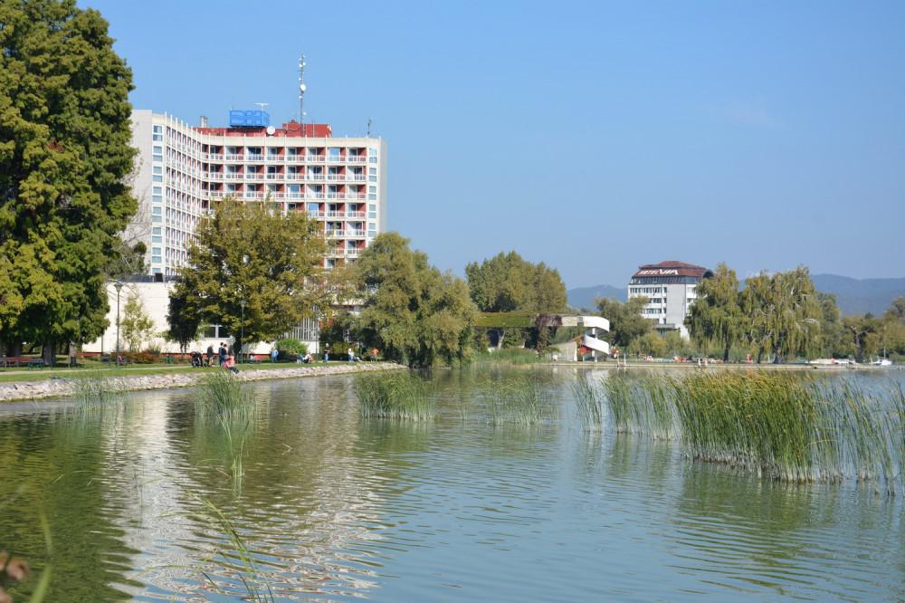 Məşhur macar gölü azərbaycanlının təsvirində - FOTO