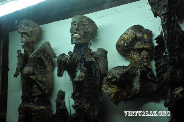 Bakıda təpəgöz, iki-üç başlı uşaqlar, siam əkizlərinin saxlandığı otaqlar - FOTO