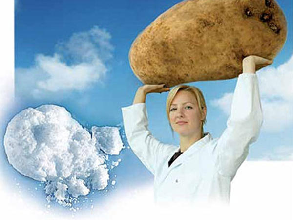 Fullmetal Alchemist porno rasmlar Dik va vaginalar va mushuklar