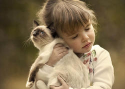 Bu 3 Bürc pişiklərlə eyni enerjidən qidalanırlar