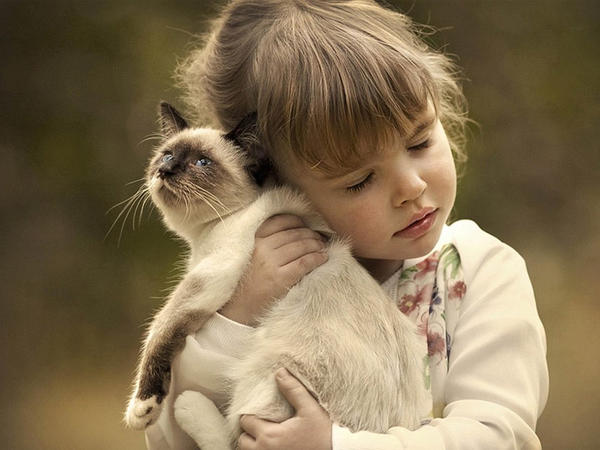 Bu 3 Bürc pişiklərlə eyni enerjidən qidalanırlar