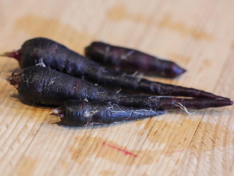 Rus retro onlayn porno Squirting orgazmga qanday erishish mumkin onlayn video