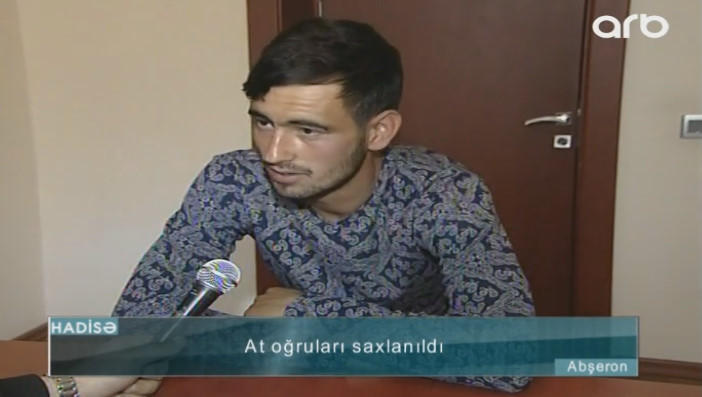 "Ana-balanı verirdik, 150 manat alırdıq" - At oğruları saxlanıldı - VİDEO - FOTO