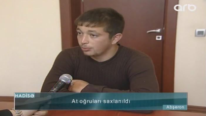 "Ana-balanı verirdik, 150 manat alırdıq" - At oğruları saxlanıldı - VİDEO - FOTO
