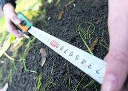 Bələdiyyə torpaqları satışa çıxarılır - SİYAHI