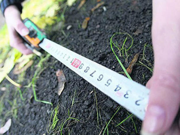 Bələdiyyə torpaqları satışa çıxarılır - SİYAHI