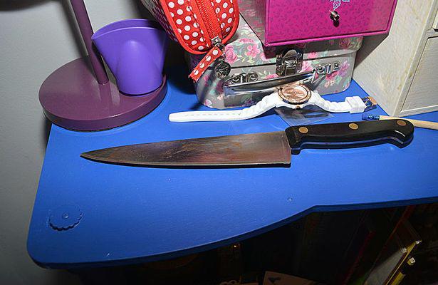 14 yaşlı qız anasının və bacısının başını kəsdi, sonra da... - Ağlasığmaz cinayət - FOTO