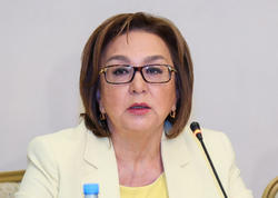 Azərbaycan dili sertifikatı hansı sahələrdə tələb olunacaqsa, həmin şəxslər müvafiq imtahandan keçməlidir - Məleykə Abbaszadə