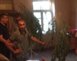 Sabirabadda əməliyyat - 100 kq-a yaxın narkotik tapıldı - FOTO