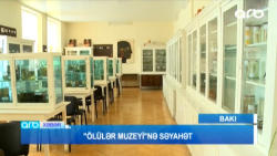 Bakıdakı bu binada mumiyalar var - VİDEO - FOTO