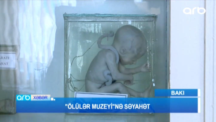 Bakıdakı bu binada mumiyalar var - VİDEO - FOTO