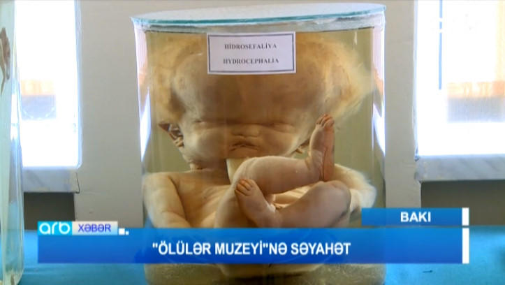 Bakıdakı bu binada mumiyalar var - VİDEO - FOTO