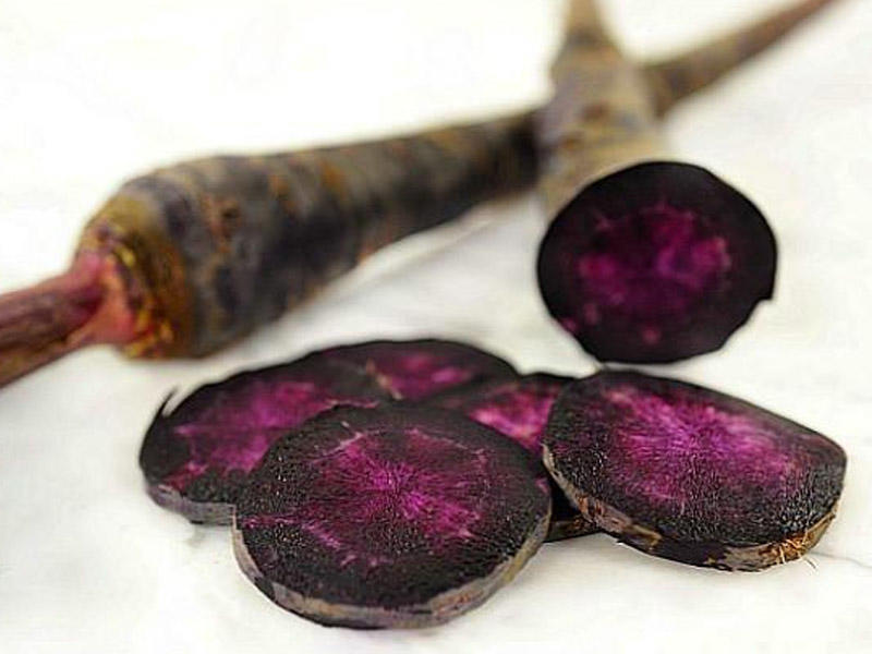 Ukrainada DVD-da porno filmlarni sotib oling Soqolsiz ayollarning erotik fotosuratlari