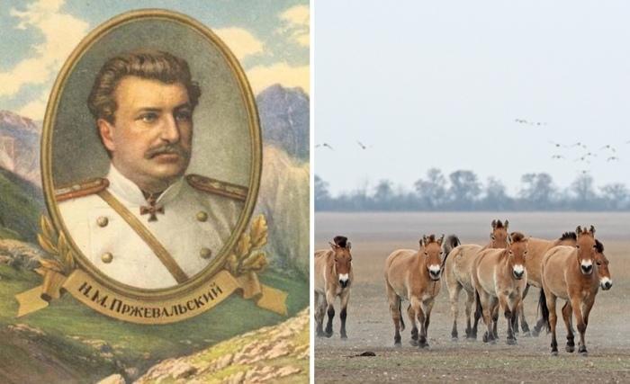 Qumarbaz, Stalinin atası yoxsa, sadəcə səyahətçi? - NAMƏLUM PRJEVALSKİ