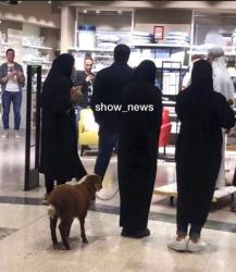 Ərəb turist “Gənclik Mall”a qoyunla girdi - FOTO