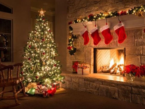 Evdəki "yolka" sizə problem yarada bilər - Həkimdən AÇIQLAMA