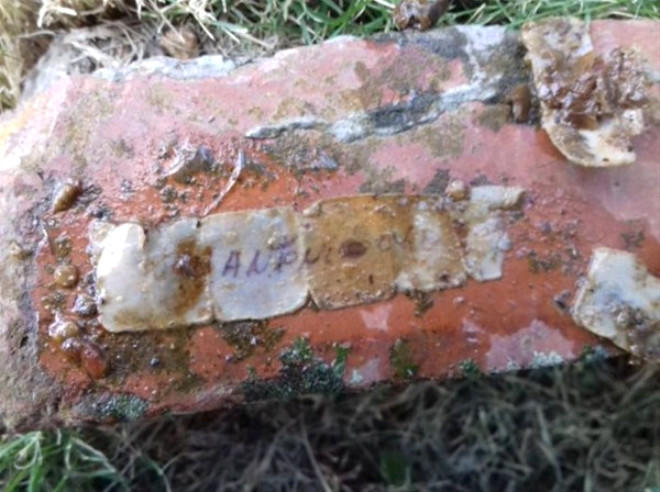 Cadu edib, həyətinə atdılar - Bağçadan çıxanlar ŞOK ETDİ - FOTO