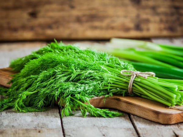 Dünyanın ən sağlam qidası şüyüd imiş... - <span class="color_red">SİYAHI</span>