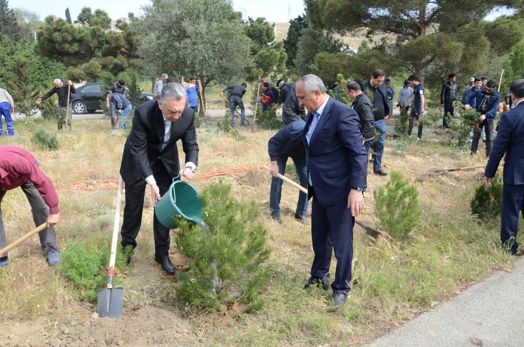 Səbaildə ulu öndər Heydər Əliyevin 95 illiyinə həsr olunmuş iməcilik keçirilib - FOTO
