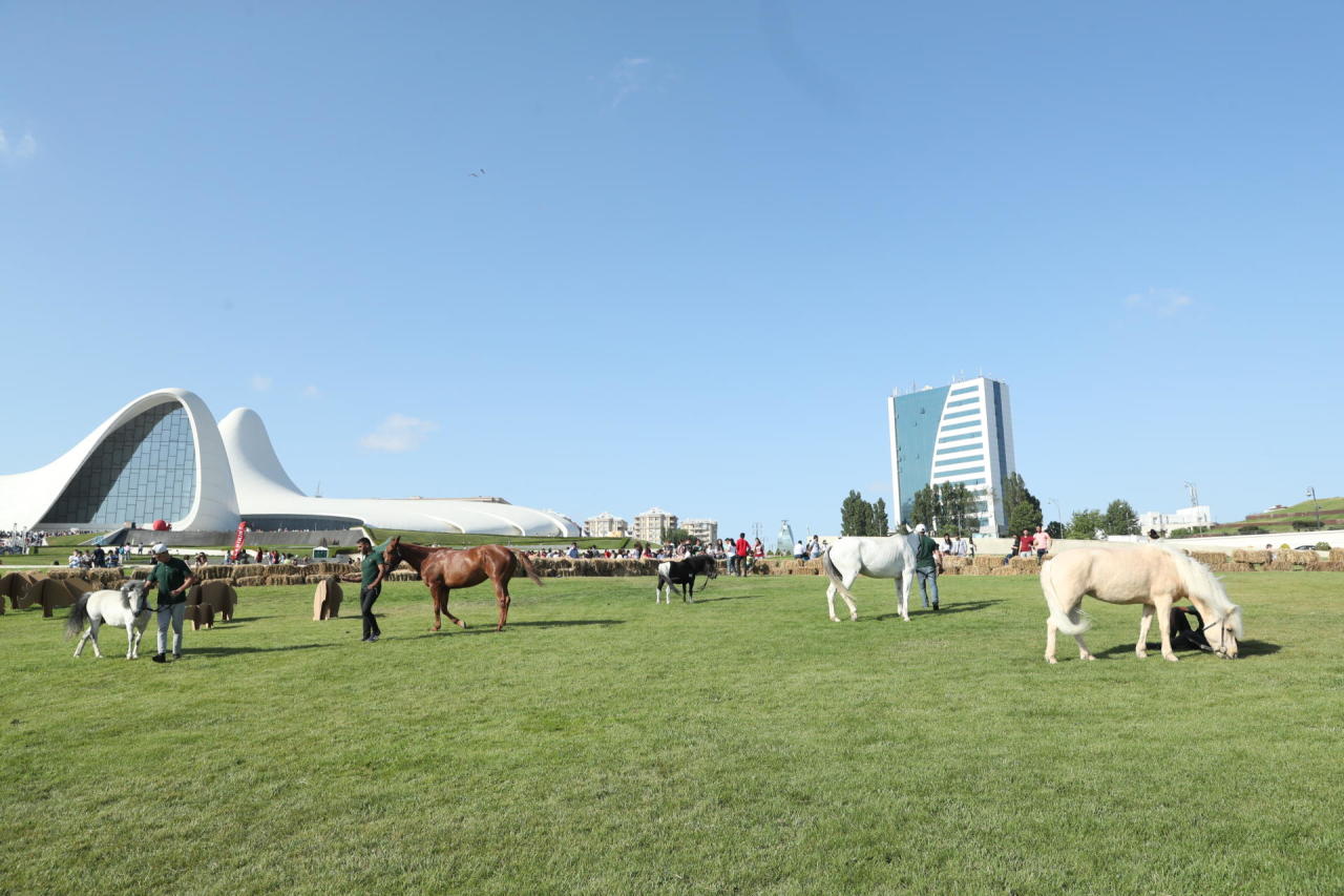 Leyla Əliyeva Heydər Əliyev Mərkəzinin parkında Uşaq festivalında iştirak edib - FOTO