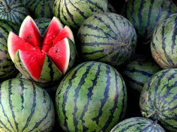 Qarpızdan zəhərlənməmək üçün nələrə diqqət etmək lazımdır?