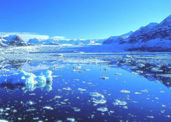 Antarktidanın gizli tərəfi: Buzların altındakı dünya ilk dəfə bu qədər aydın görüntüləndi