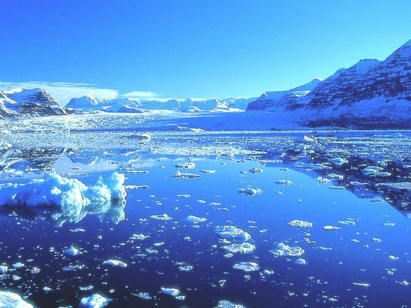 Antarktidanın gizli tərəfi: Buzların altındakı dünya ilk dəfə bu qədər aydın görüntüləndi